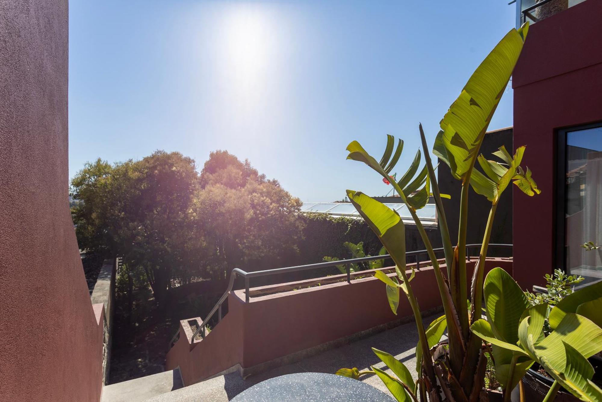 Liiiving In Porto - Casa Duque Apartments Ngoại thất bức ảnh